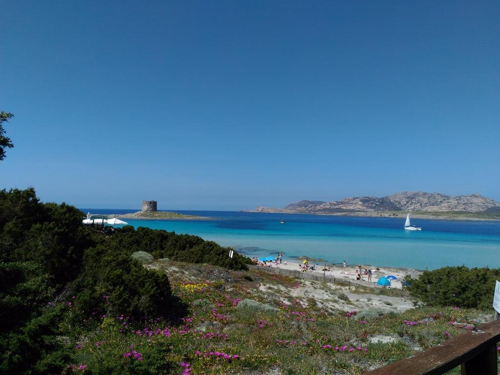 Il Geranio Villa Badesi Buitenkant foto